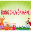 232422 background phông nền thể thao bóng chuyền corel x7