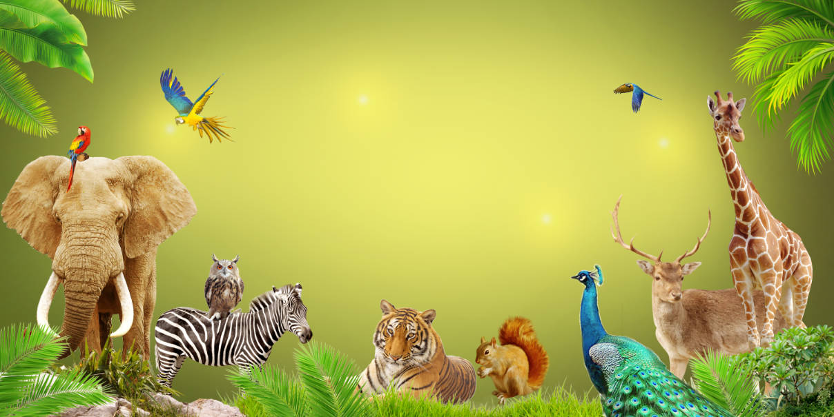 92263 tranh tường động vật rừng file PSD