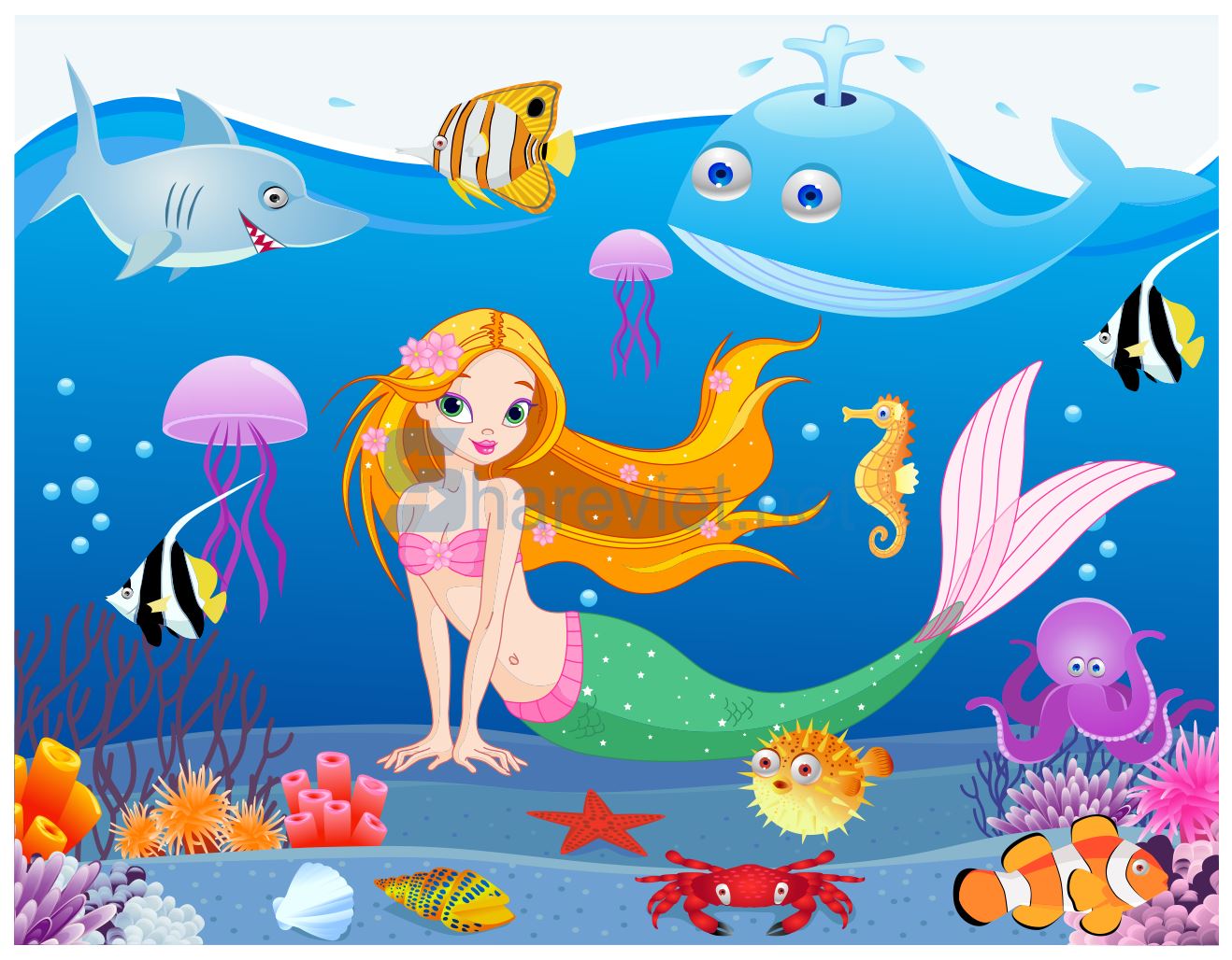 23262 tranh hoạt hình nàng tiên cá corel x7