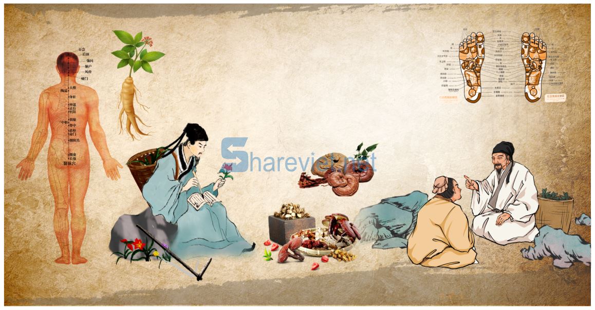 35268 tranh tường spa dưỡng sinh đông y file corel x7
